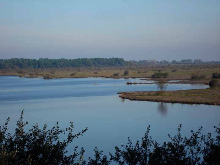 Étang de Cousseau